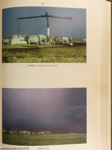 Révai új lexikona 1-19.