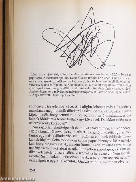 Miért sír az elefánt?