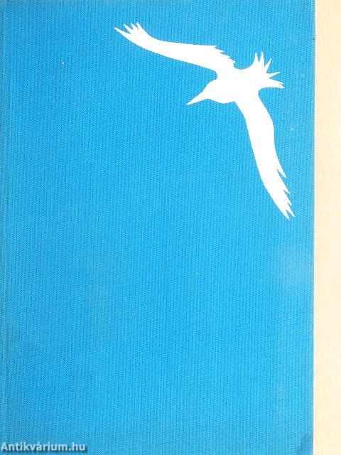 Két és fél óceánon át