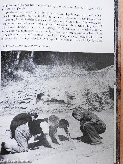 Expedíció az időben
