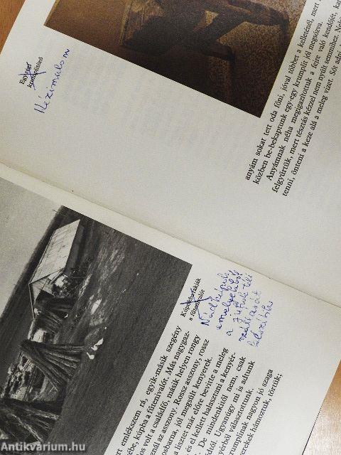 Több nap, mint kolbász