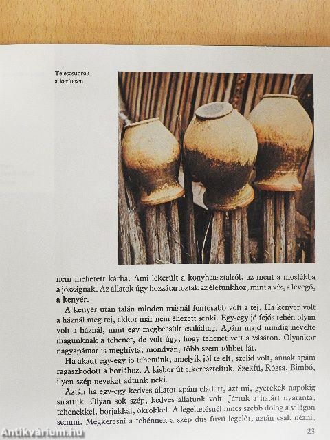 Több nap, mint kolbász