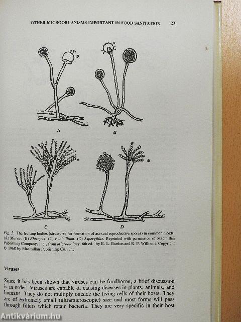 Quantity Food Sanitation