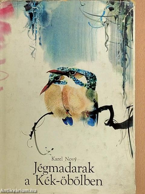 Jégmadarak a Kék-öbölben