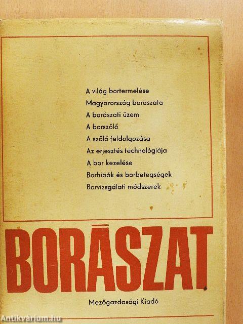 Borászat