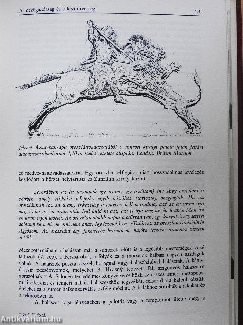 Mezopotámia