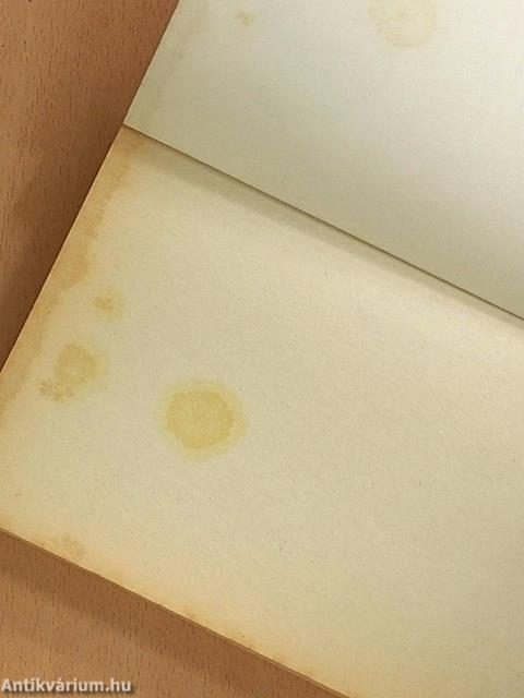 Hódító az éjszakából