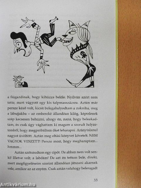 Macskanapló