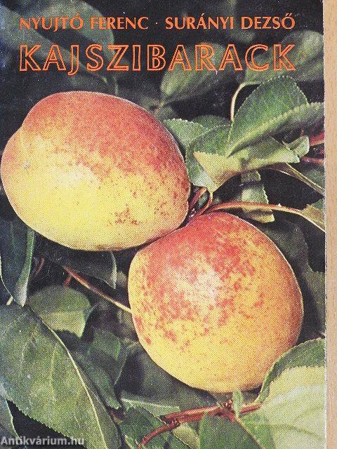 Kajszibarack