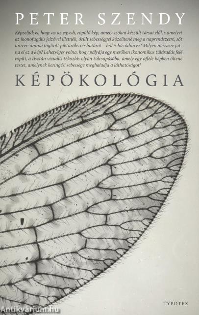 Képökológia