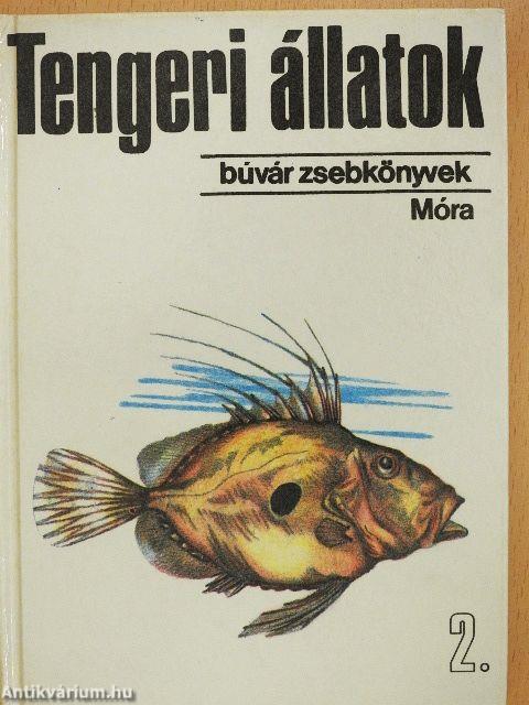 Tengeri állatok 2.