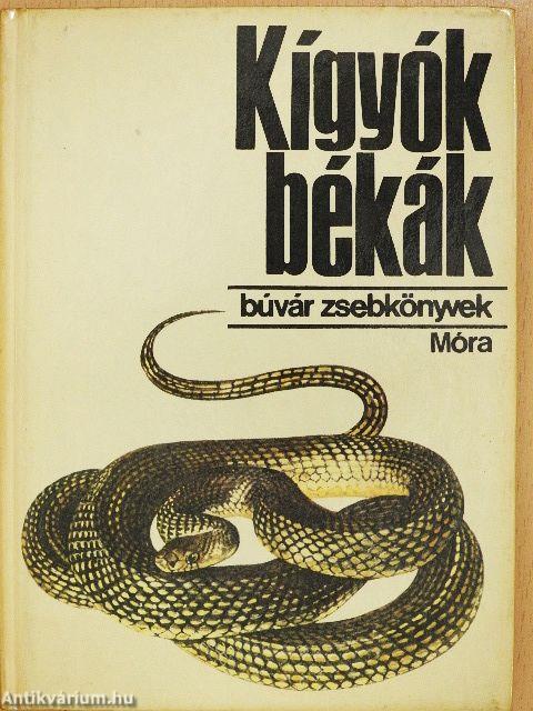Kígyók, békák