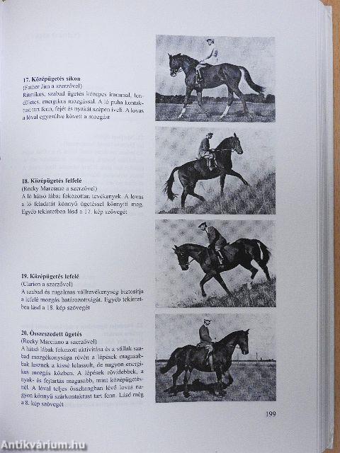 A militaryló kiképzése