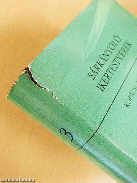 Sárkányölő ikertestvérek