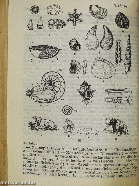 Geológiai kislexikon