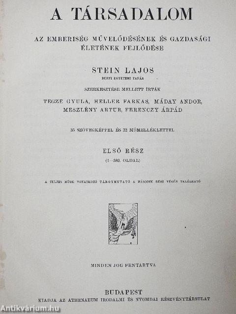 A társadalom I-II.