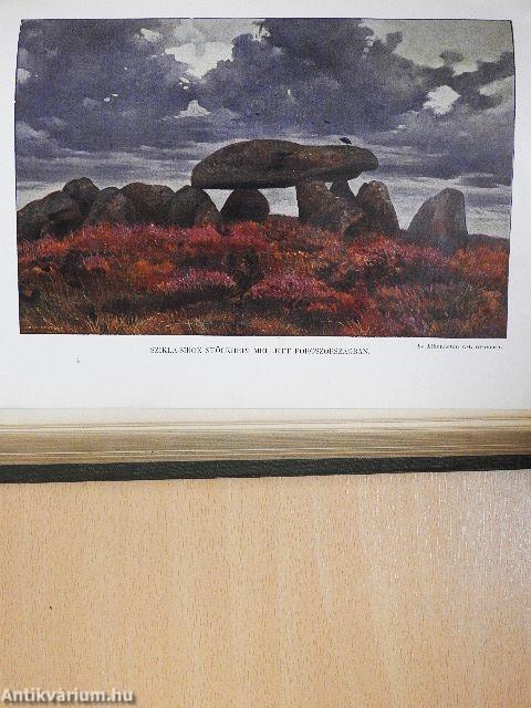 A társadalom I-II.