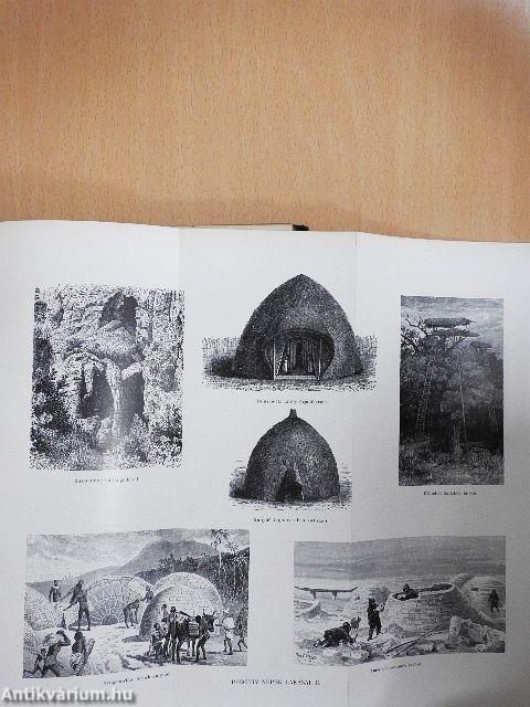 A társadalom I-II.