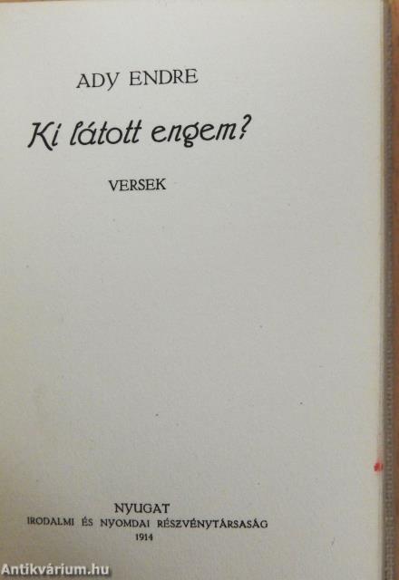 Ki látott engem? (minikönyv)