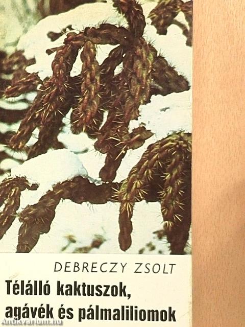 Télálló kaktuszok, agávék és pálmaliliomok
