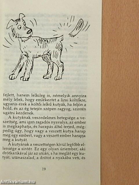 Képtelen természetrajz