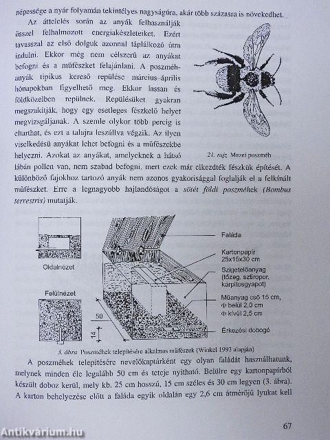 Cselekvő természetvédelem