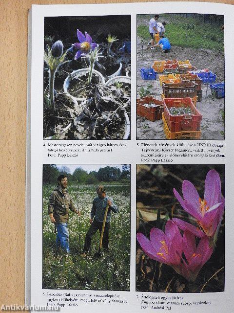 Cselekvő természetvédelem