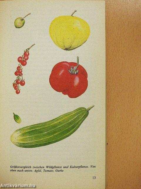 Der Garten im Wandel der Zeiten