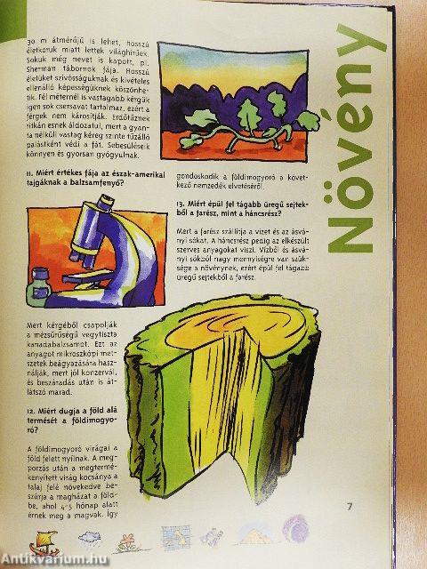 Titkok és rejtélyek