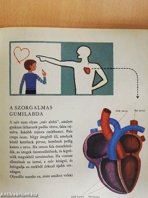 A vér csodái