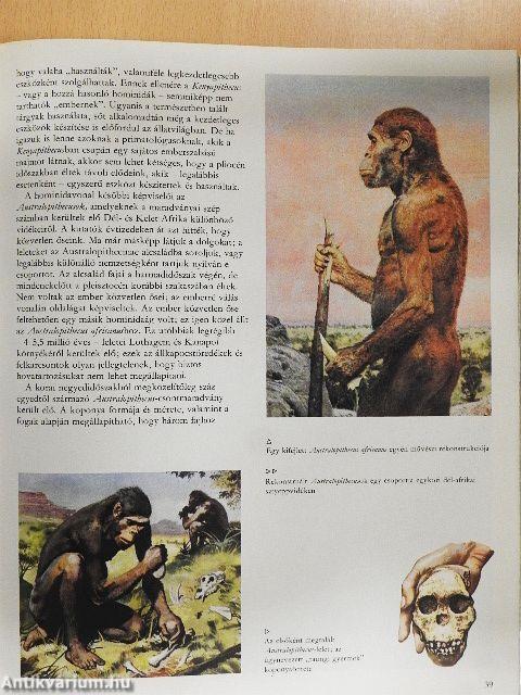 Az őskori ember