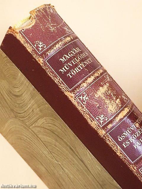 Magyar művelődéstörténet 1.