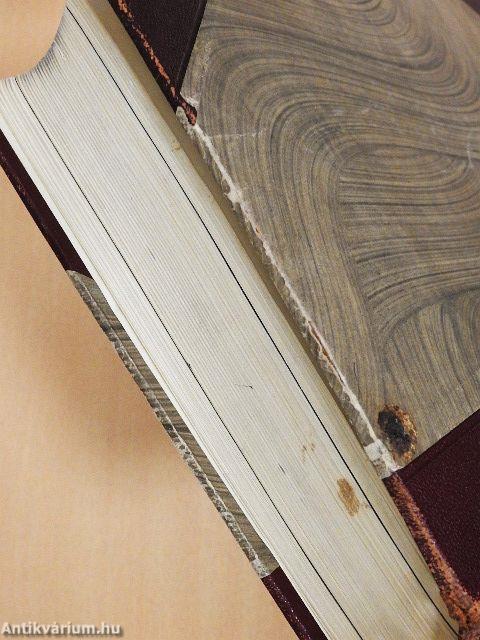 Magyar művelődéstörténet 1.