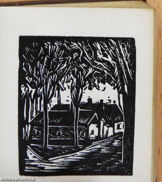 Kecskemét (minikönyv)