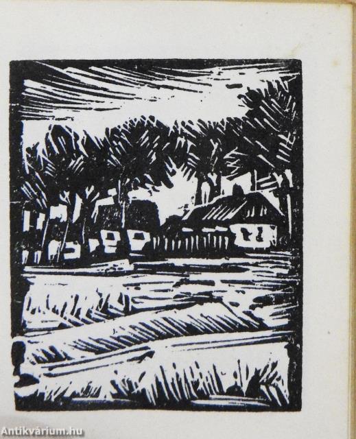 Kecskemét (minikönyv)