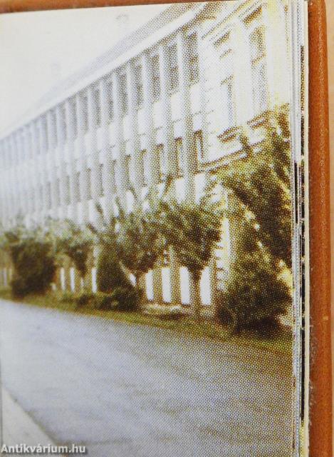 Sárvár (minikönyv)