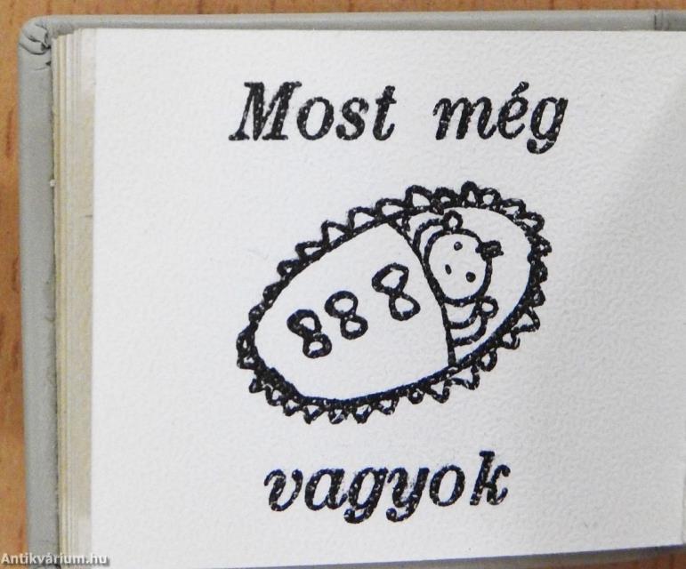 Gólyahír (minikönyv)