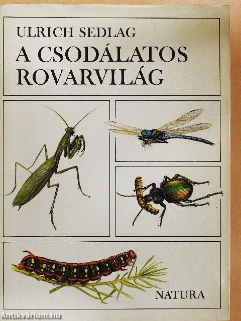 A csodálatos rovarvilág