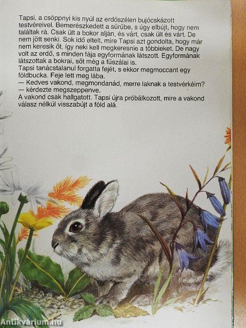 Tapsi elveszik és megkerül