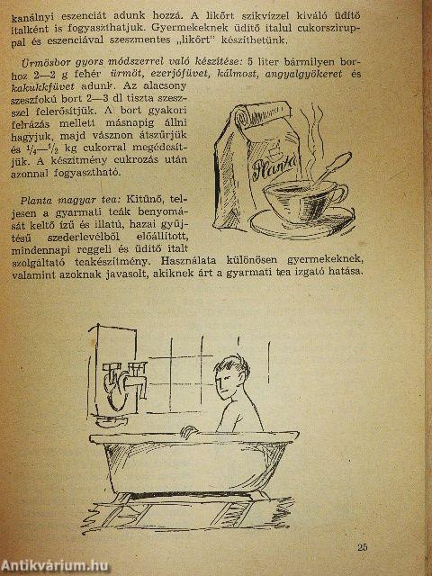 Gyógynövényeinkről