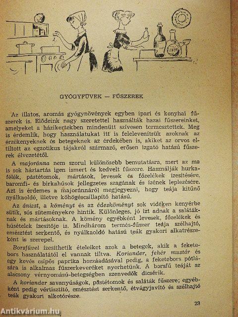 Gyógynövényeinkről