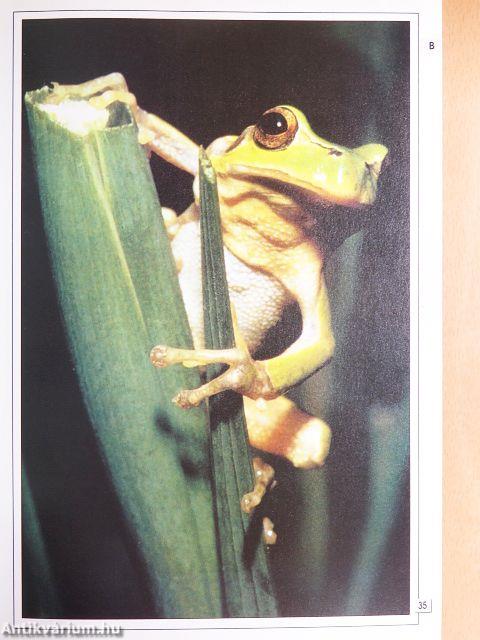 Az állatvilág enciklopédiája