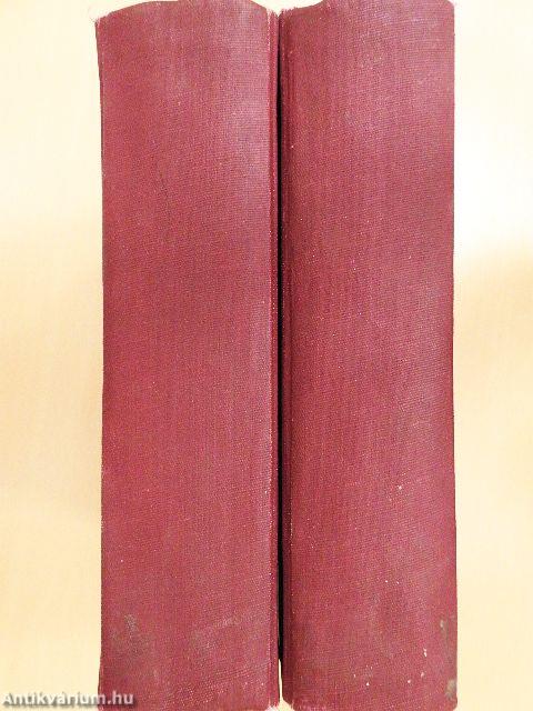 Közgazdaságtan I-II.