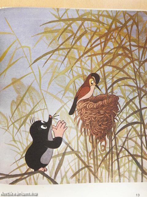 Volt egyszer egy vakond