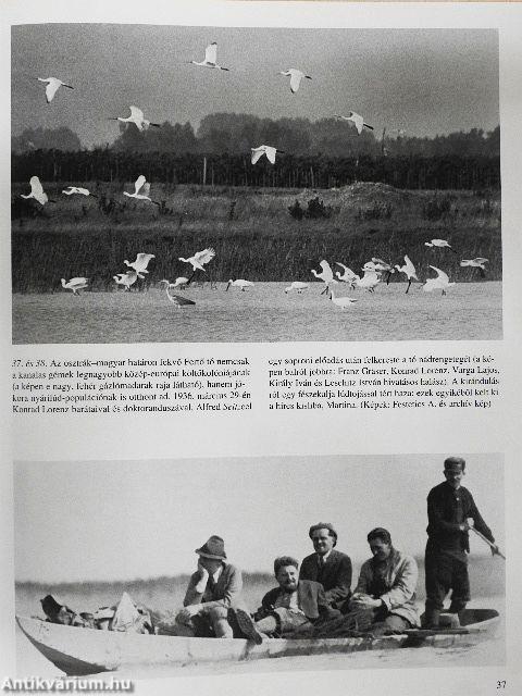 Konrad Lorenz világa