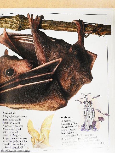 Csudálatos emlősök