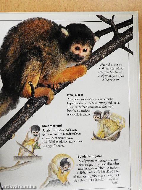 Csudálatos emlősök