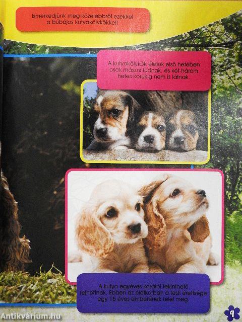 Micimackó magazin 2009/8.