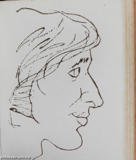 Van képünk (minikönyv) - Plakettel