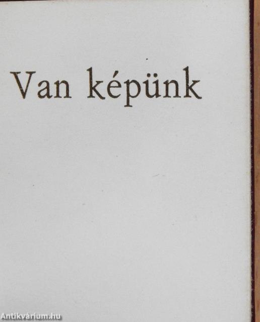 Van képünk (minikönyv) - Plakettel